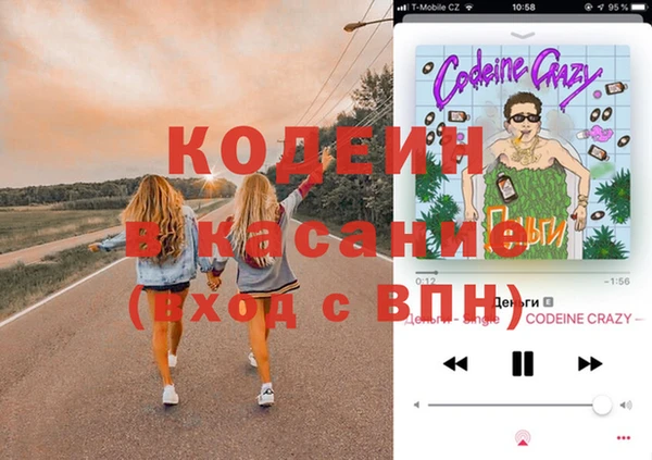 индика Армянск