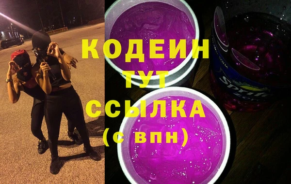 индика Армянск