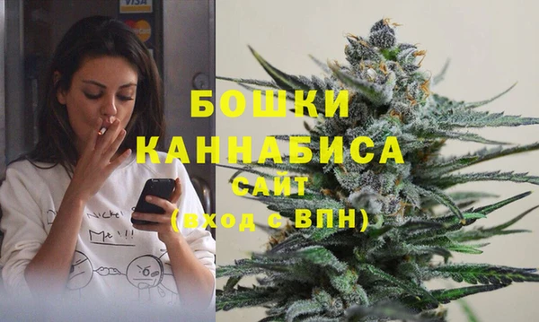 прущие крисы Арсеньев