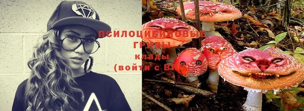 индика Армянск