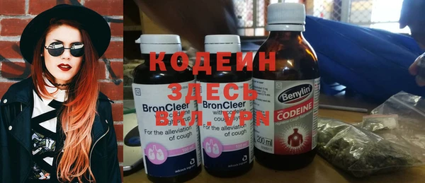 индика Армянск