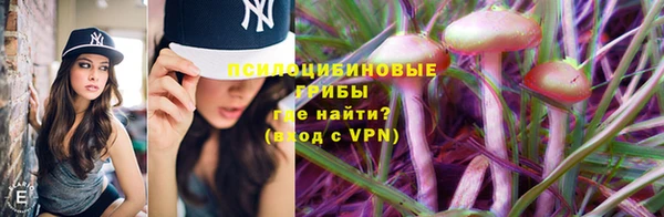 индика Армянск