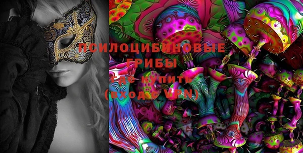 ГАЛЛЮЦИНОГЕННЫЕ ГРИБЫ Аркадак