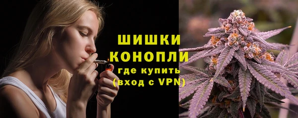 ГАЛЛЮЦИНОГЕННЫЕ ГРИБЫ Аркадак