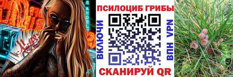 Псилоцибиновые грибы GOLDEN TEACHER  MEGA ссылки  Курганинск 